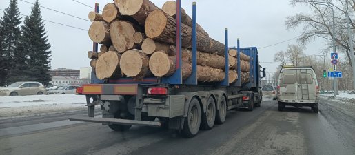 Поиск транспорта для перевозки леса, бревен и кругляка стоимость услуг и где заказать - Пермь