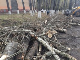 Поиск техники для вывоза и уборки строительного мусора стоимость услуг и где заказать - Соликамск